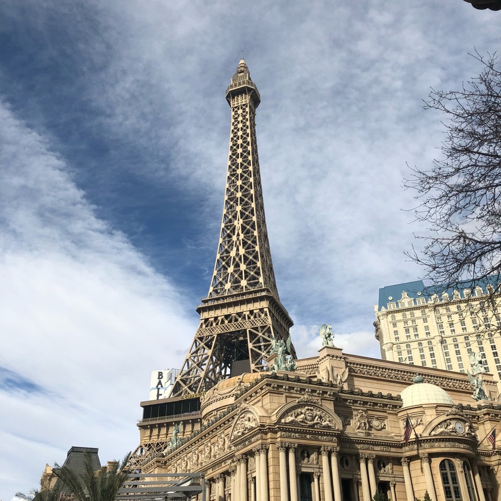 Meet your Posher, Roxy